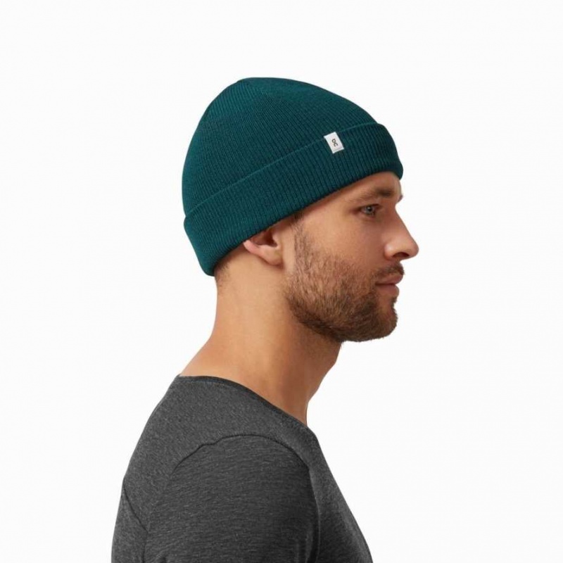 Green On Merino Beanie | CSW879241